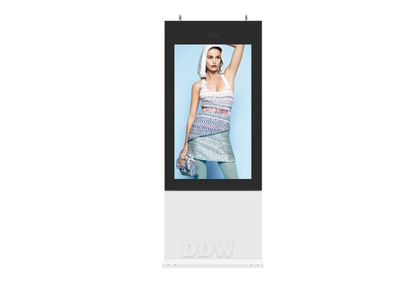 55 "IP65 1500cd LCD Quảng cáo Biển báo kỹ thuật số DDW-AD5501SNO